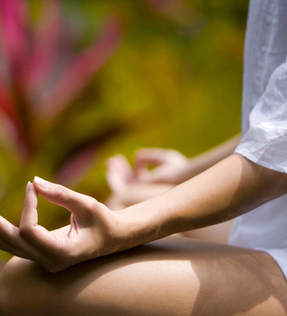 Wellness &amp; Creativity