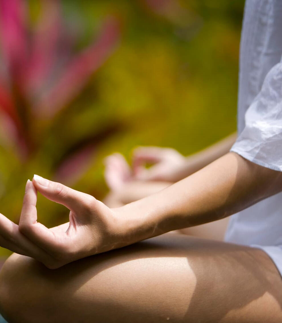 Estilo de Vida y Creación